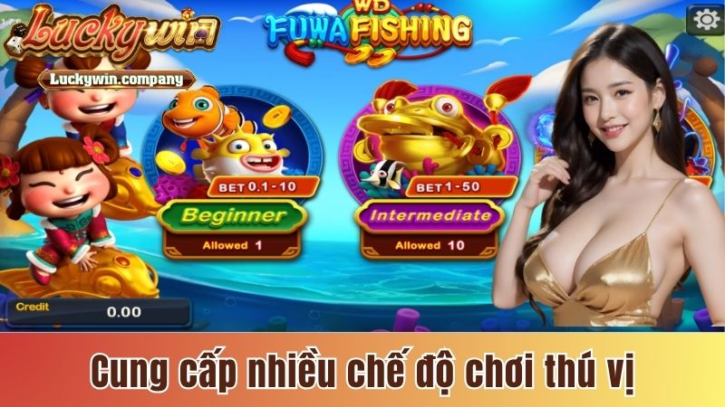 Cung cấp cho hội viên nhiều chế độ chơi thú vị