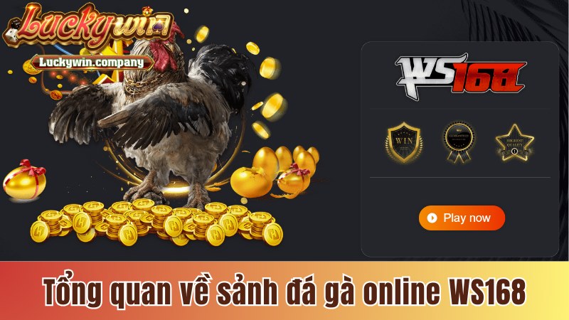 Tổng quan về sảnh đá gà online WS168